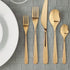 Ikea TILLAGD 20-piece flatware set, brass color